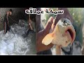 احلى كشته طبخ الخضيري+اغرب طرق صيد السمك الكطان والسمتي