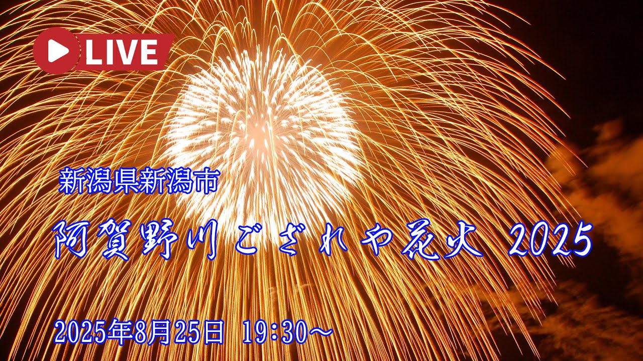 2025.8.26花珊瑚石六界　新潟阿賀野産珊瑚石 2025.8.26花珊瑚石六界 新潟阿賀野産珊瑚石 - メルカリ