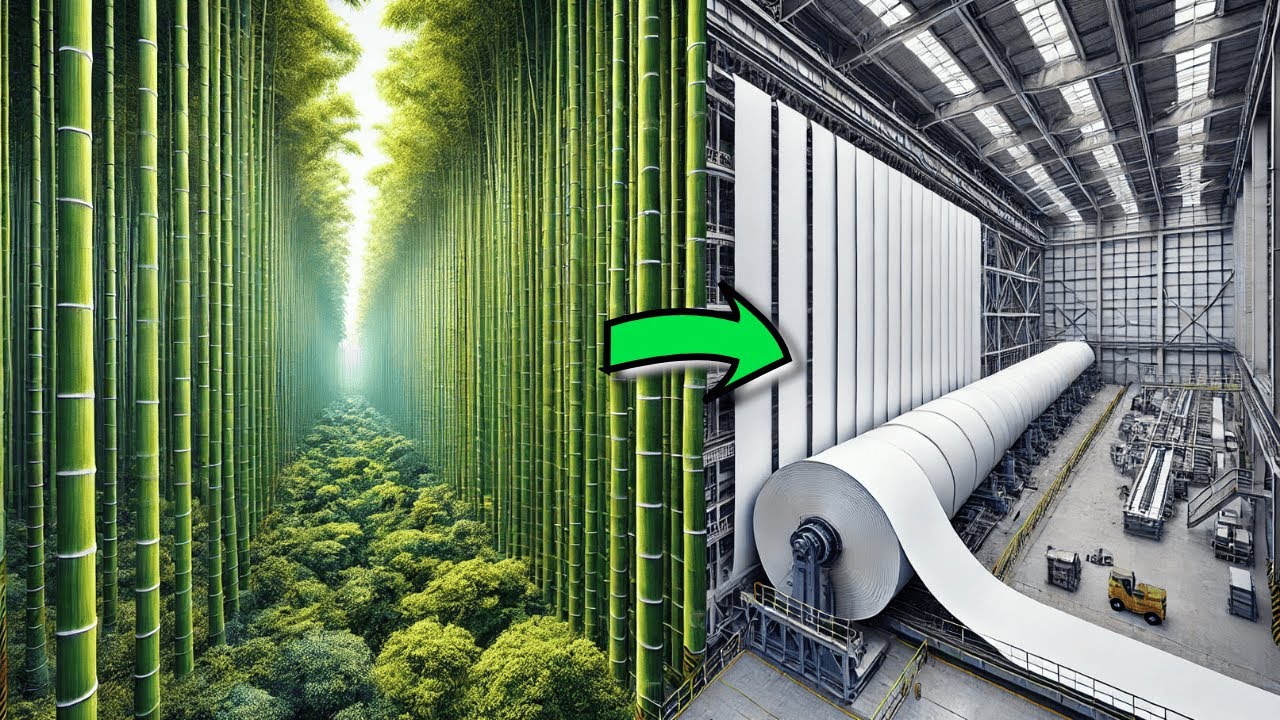 Бамбуковая бумага: экологичная альтернатива древесной бумаге?