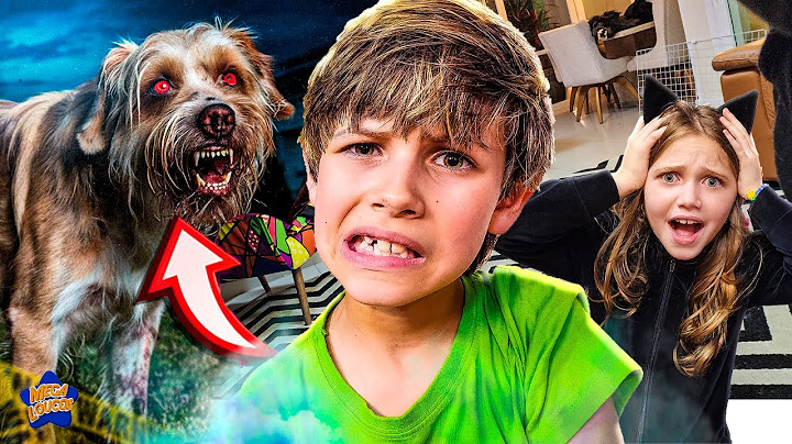 FOMOS PERSEGUIDOS PELO CÃO MALVADO * escapamos?