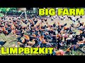 BEAUTIFUL VIEW BIG FARM LIMPBIZKIT GF - FEEDING TIME