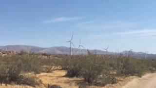 13) PCT Windmills
