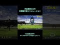 天皇賞秋2026 枠順確定前シミュレーション公開中！ 【 競馬予想 】
