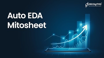 Auto EDA (Exploratory Data Analysis) Library | Mitosheet | 360DigiTMG