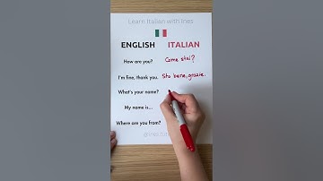 Italian for Beginners 🇮🇹