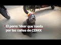 &#39;Frijol&#39;, el perrito biker que se pasea por las calles de la CDMX a bordo de su motocicleta.