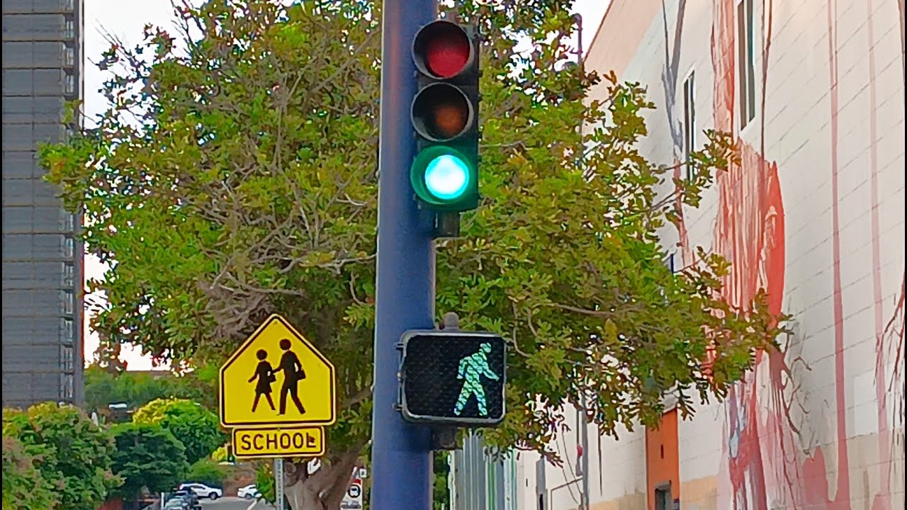 Safetran Traffic Light & Econolite Neon Pedestrian Light (F St & 14th St)