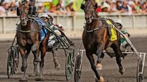 Race 12 Hambletonian Final 3YO Open G1 Meadowlands NJ August 2, 2025 : Nordic Catcher S (1:50:0)