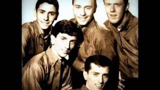 Randy and the Rainbows - DENISE  "LIVE 1963"