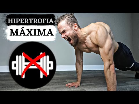 Treino para ECTOMORFO