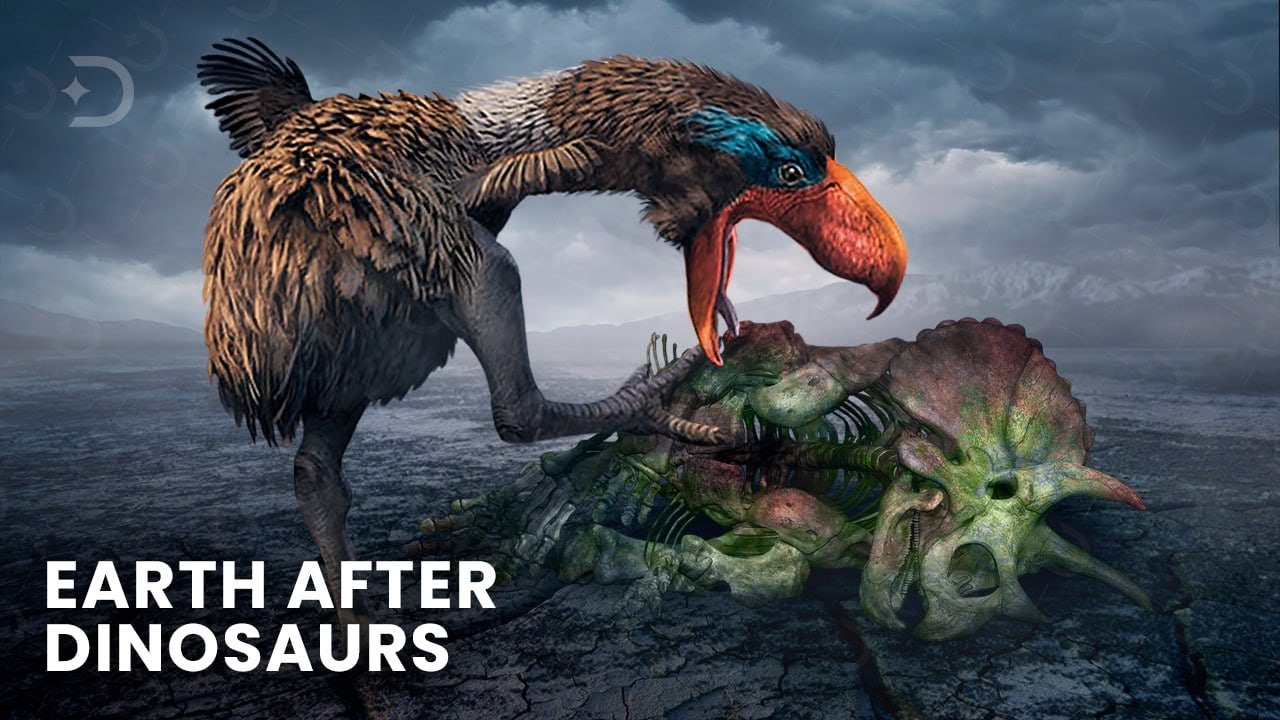 The Bizarre Creatures That Lived On Earth Before The Dinosaurs YouTube the-bizarre-creatures-that-lived-on-earth-before-the-dinosaurs-youtube