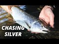 Chasing Silver - Early Spring Sea Trout Fishing (Is The Ragworm Active Yet?!