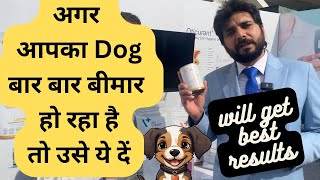 Dog अगर बार बार same बीमारी से ग्रस्त हो रहा है तो ये diet try करो ,100%results proof