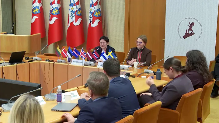 2025-11-25 Konf. „Aktualios perspektyvos: įžvalgos apie vaikų žalingą seksualinį elgesį“ (anglų k.)