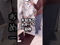 #shorts 【しまむらあるある】コラボ発売日、必死すぎる自分に恥ずかしくなる瞬間
