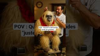 Et tu ressors avec une nouvelle tête 😭#SandraTV #POV #Humour #HaircutFail #YetiLook #FYP