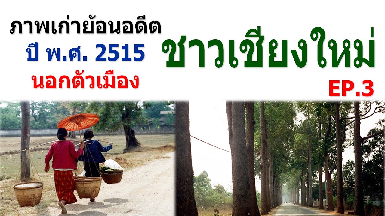 ย้อนอดีตภาพเก่าชาวเชียงใหม่ ปี พ.ศ. 2515  EP.3 ชมภาพเก่าบรรยากาศนอกตัวเมืองเชียงใหม่ในอดีต