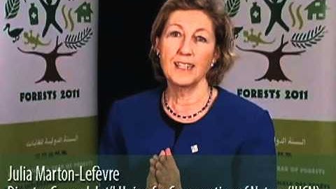 International Year of Forests (Forests 2011) -- Julia Marton-Lefèvre