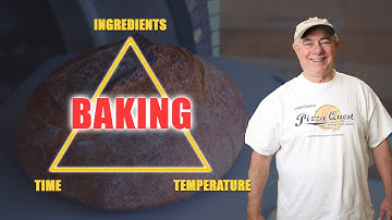 This Video Will Show You Everything You Need To Know About Fermentation