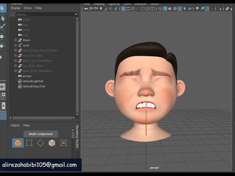 Script rig lip eye brows speed