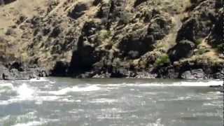 Snake River