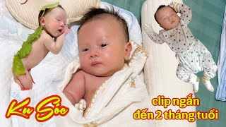 Ku Sóc từ sơ sinh đến 2 tháng tuổi