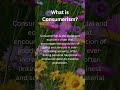What is Consumerism?