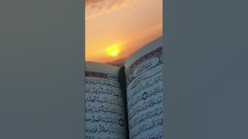 #القرآن_الكريم #تلاوة_خاشعة #سورة_نوح #ماهر_المعيقلي #اكسبلور #راحة_نفسية #quran #المصحف
