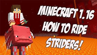 A quick and easy tutorial on riding striders! minecraft's newest
nether mob, striders can be ridden across the lava oceans of nether,
you'll need saddl...
