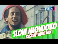 DJ F2 SLOW MIONDOKO REGGAE VIDEO MIX FT BOB MARLEY, LUCKY DUBE, RITA MARLEY, ETANA, RICHIE SPICE