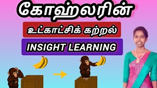 Insight Learning Theory by Köhler — TN TET 2025 Crash Guide 🧠 | Psychology for Teachers