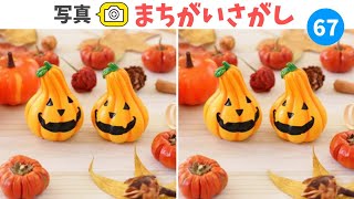 🎃写真間違い探し🎃全2枚の秋を感じる画像から3ヶ所の小さな違いを探し出しだせvol.67