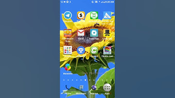 Free Bitcoin Miner 1000satoshi/30 minutes