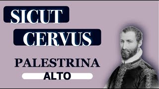 Download Lagu Alto Dominant - Sicut Cervus (Palestrina) MP3