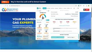 How to Copy All Text from a Webpage | Check Page SEO