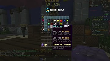 BEST HYPIXEL SKYBLOCK MONEY MAKING METHOD I BAZAAR FLIPPING Macro Mod 940mh November 2025