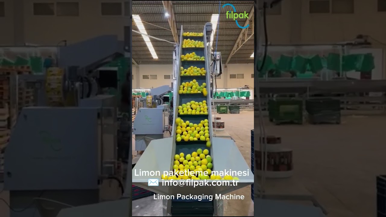 Limon paketleme makinesi _ Lemon Fileleme Makina