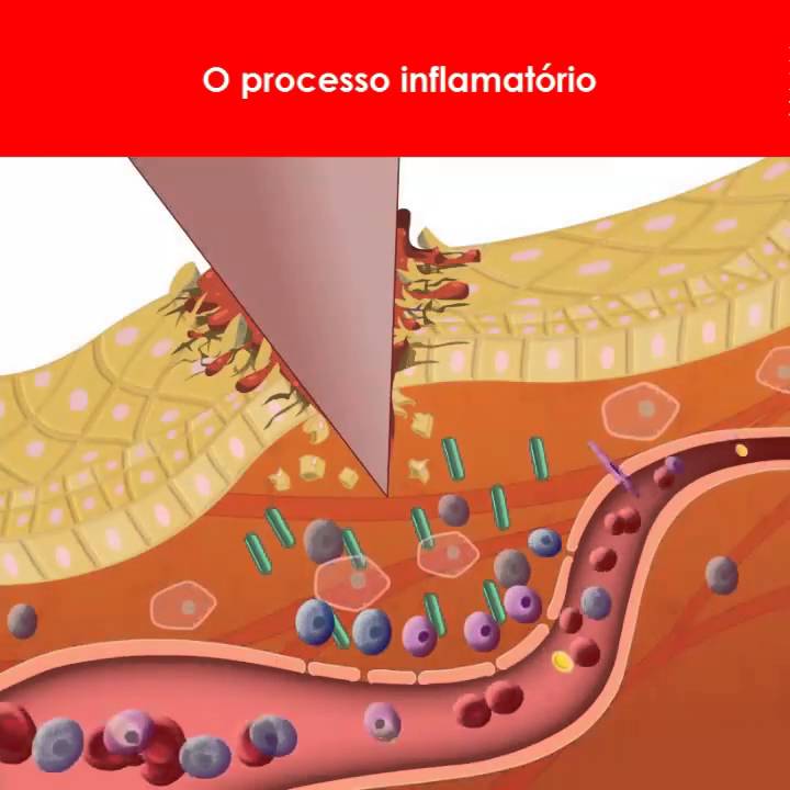 Fisiologia Do Processo Inflamatório, PDF, Inflamação