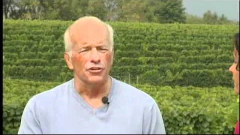Gary DePersia - Plum TV Interview