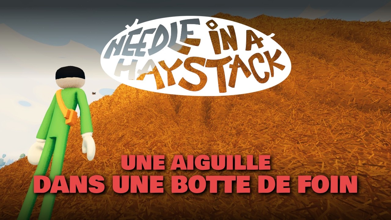 UNE AIGUILLE DANS UNE BOTTE DE FOIN.