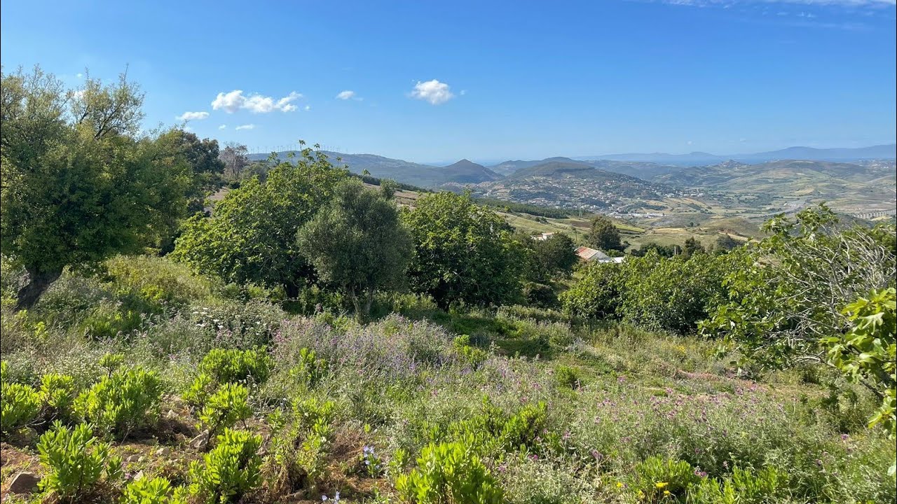 غرسة كتحمق مفججة مليئة بالاشجار المثمرة ومطلة على البحر مساحة 3000متر 0703640826ملوسة طنجة