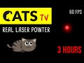 CATS TV - Real Laser Pointer 60FPS 🔴 - 3 HOURS (Video Game for Cats)