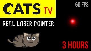 CATS TV - Real Laser Chaser 60FPS 🔴 - 3 HOURS (Video Game for Cats Only) screenshot 3