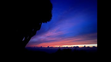 No Expectations - BuszJan