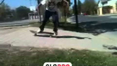 Skate rena Guzmn