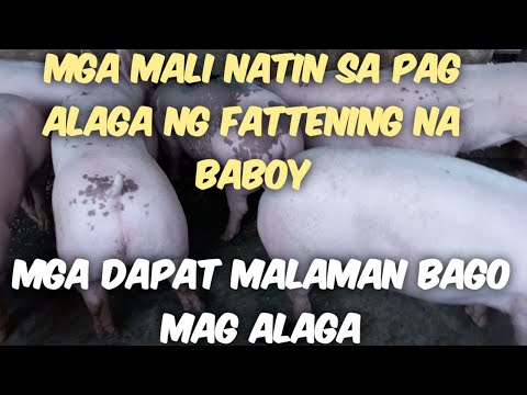 Video: 5 Mga Bagay Na Dapat Isaalang-alang Bago Magpatibay Ng Hindi Tradisyonal, Mga Natatanging Alagang Hayop