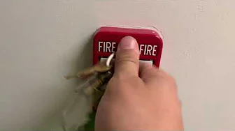 Fire Alarm Test #68 (Silent Knight 5208)