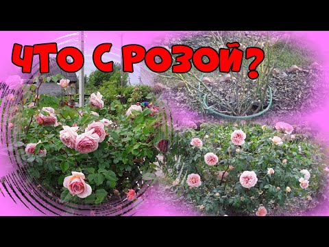 №54 Что с