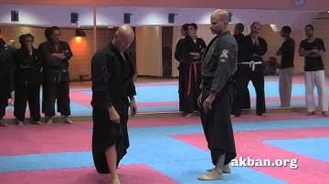 Tsuki step tutorial - AKBAN wiki Ninjutsu