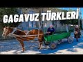 Türkçe Konuşan GAGAVUZ TÜRKLERİ İle Tanıştım !! (Gagavuzya/ Moldova)- 202 🇲🇩